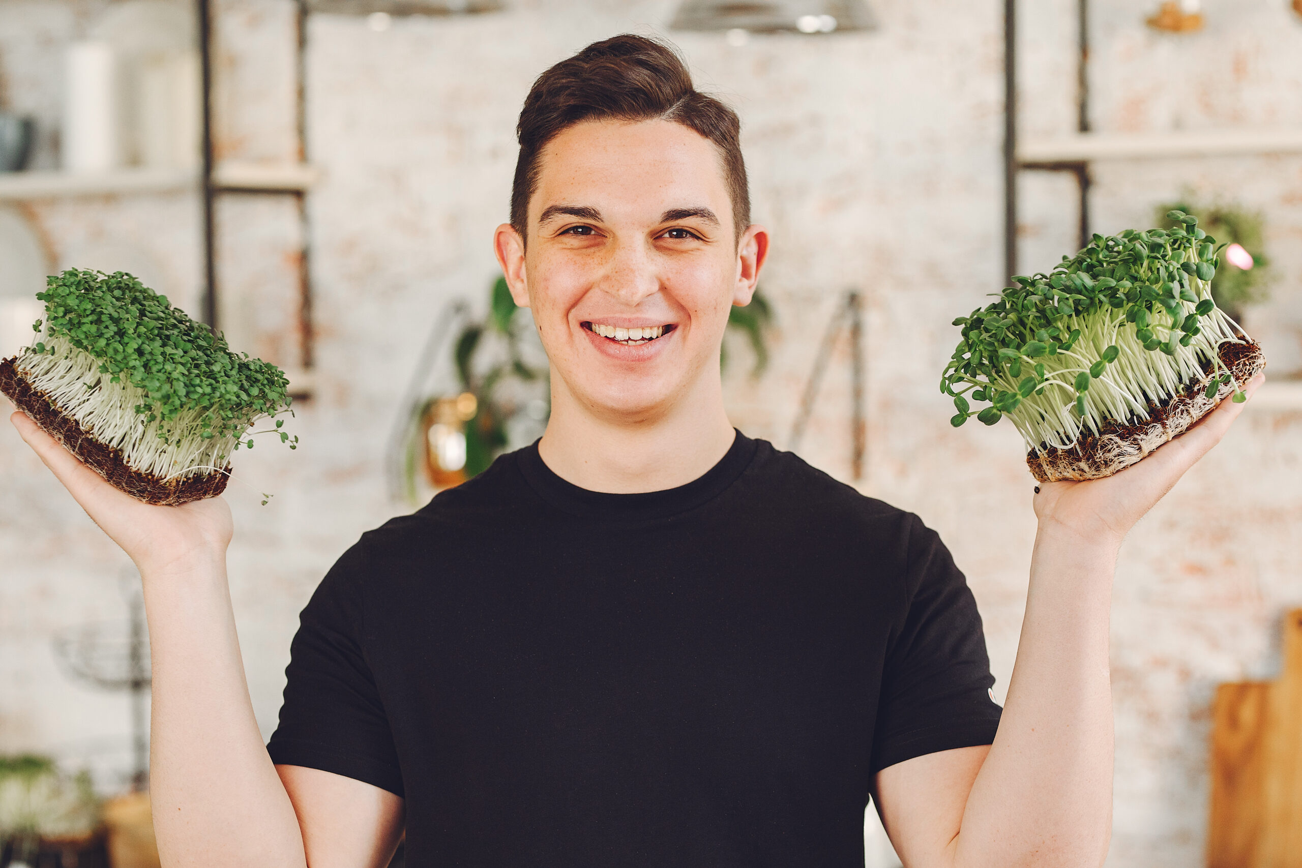 Heap of beet micro greens on table background Microgreen corundum coriander sprouts in male hands. Raw sprouts, microgreens, healthy eating concept.
