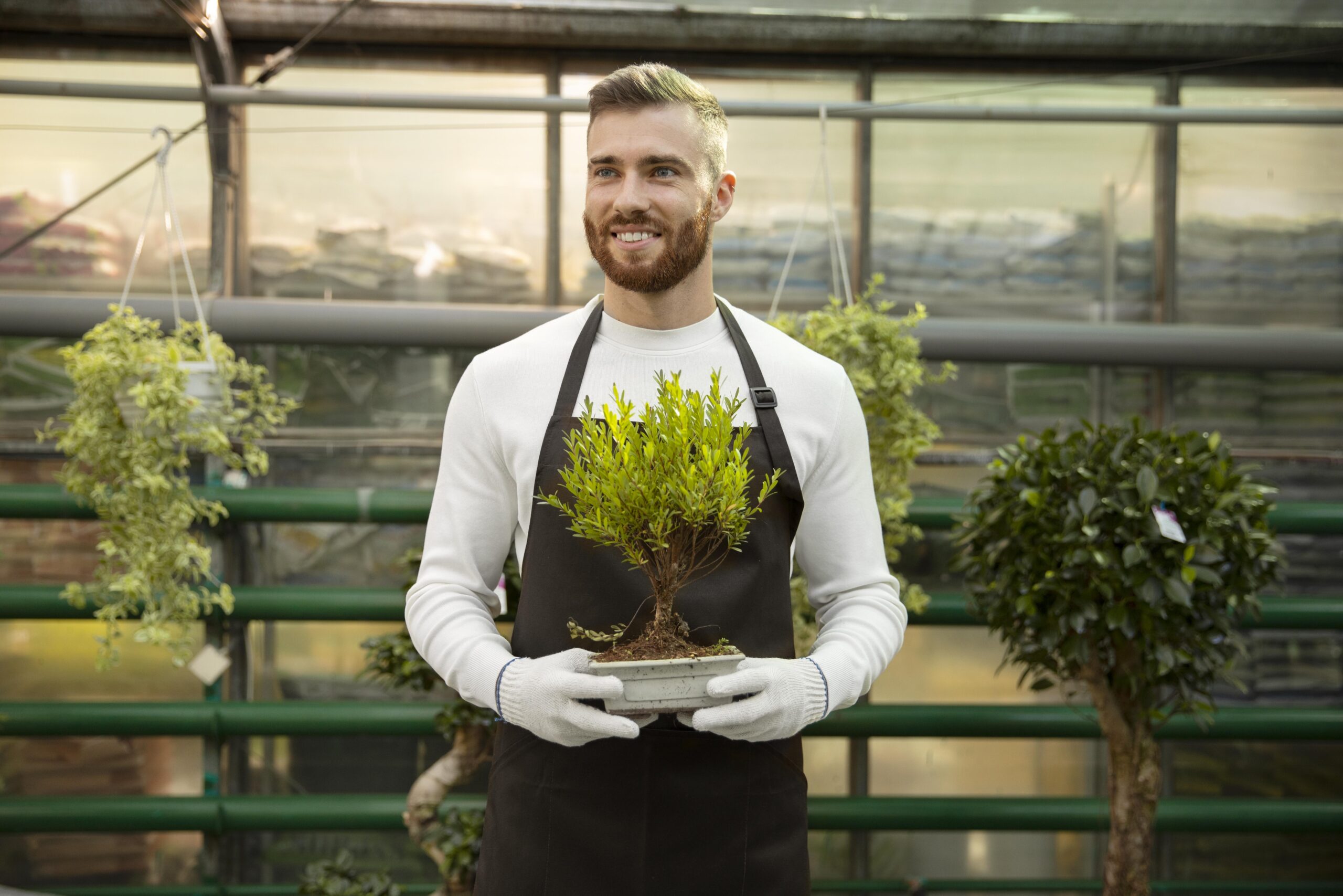 medium-shot-man-holding-small-tree medium-shot-man-holding-small-tree